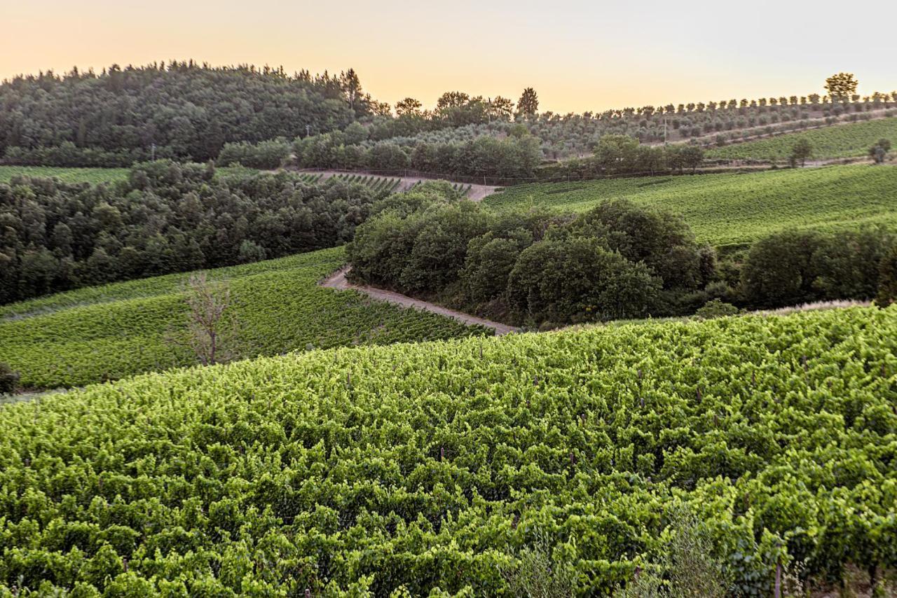 Vila Agriturismo Casa Al Bosco Castellina in Chianti Exteriér fotografie