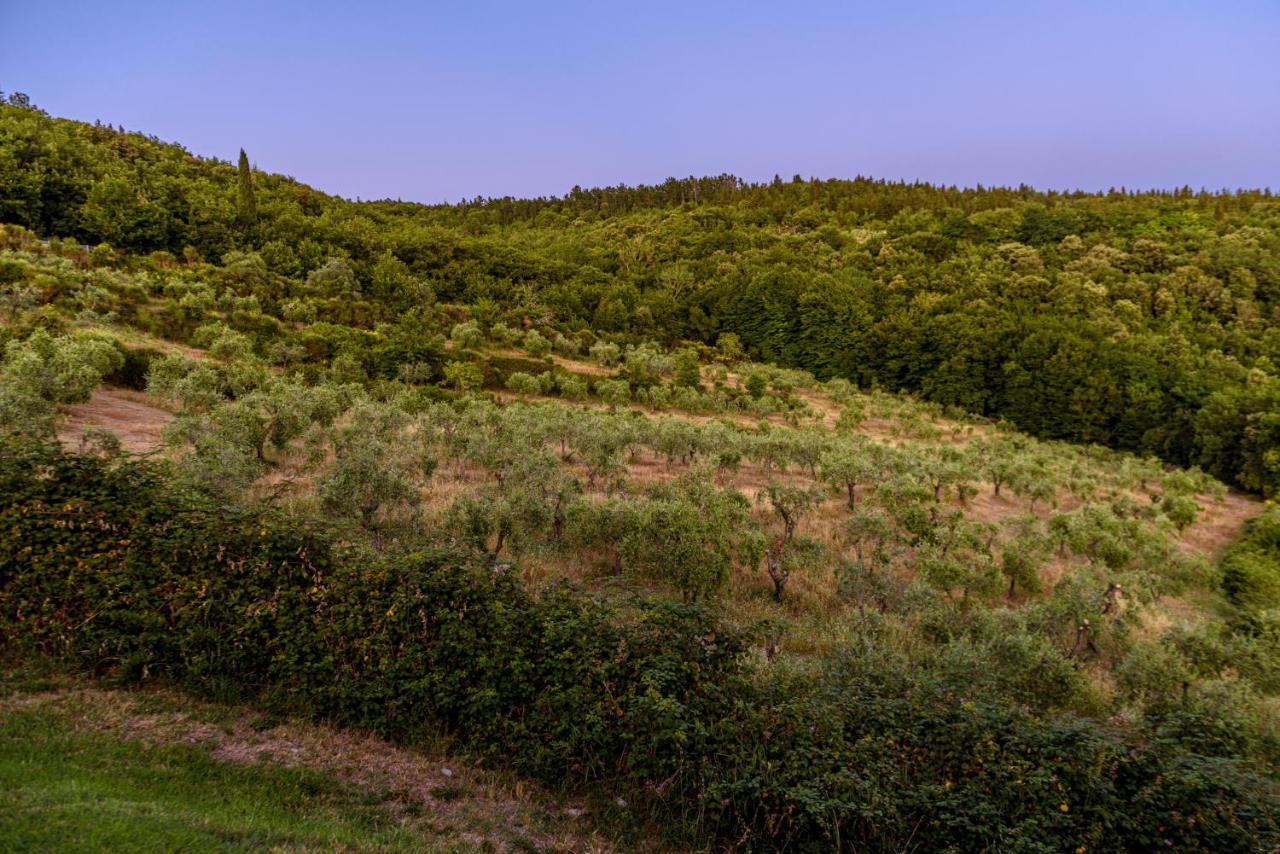 Vila Agriturismo Casa Al Bosco Castellina in Chianti Exteriér fotografie